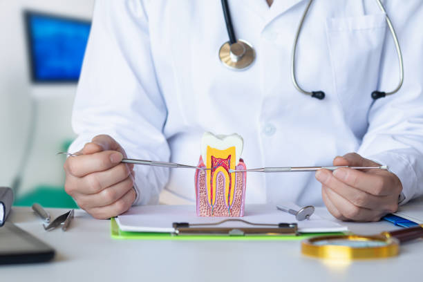 Best Emergency Orthodontic Repairs in Burlington, NC